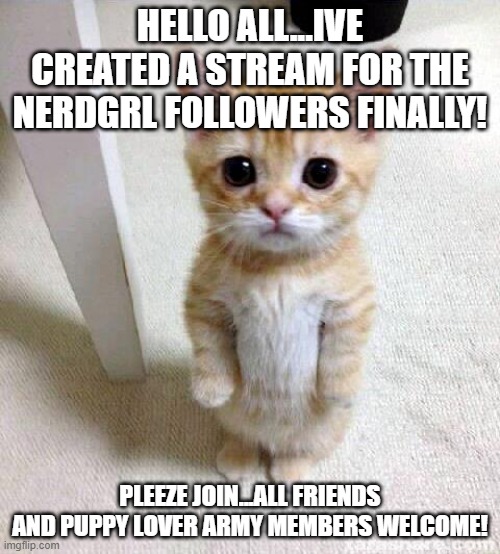 pleeze join | HELLO ALL...IVE CREATED A STREAM FOR THE NERDGRL FOLLOWERS FINALLY! PLEEZE JOIN...ALL FRIENDS AND PUPPY LOVER ARMY MEMBERS WELCOME! | image tagged in memes,cute cat | made w/ Imgflip meme maker