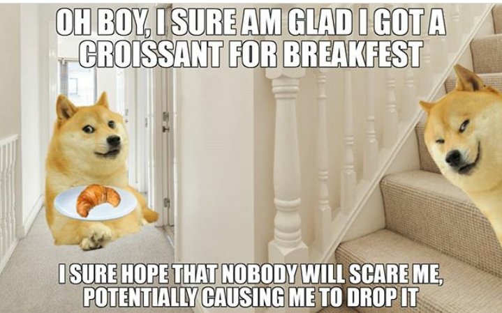 Dog morning breakfest Blank Meme Template