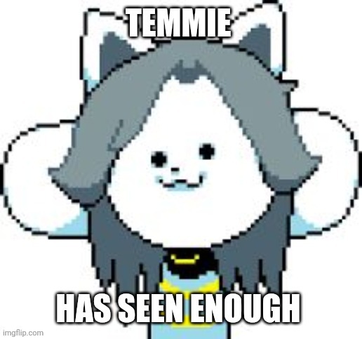 Temmie has seen enough | image tagged in temmie has seen enough,temmie,oh wow are you actually reading these tags,stop reading the tags,i said stop,see nothing here | made w/ Imgflip meme maker