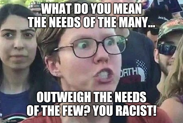 Even Spock's logic does not work in 2020 | WHAT DO YOU MEAN THE NEEDS OF THE MANY... OUTWEIGH THE NEEDS OF THE FEW? YOU RACIST! | image tagged in triggered liberal,spock | made w/ Imgflip meme maker
