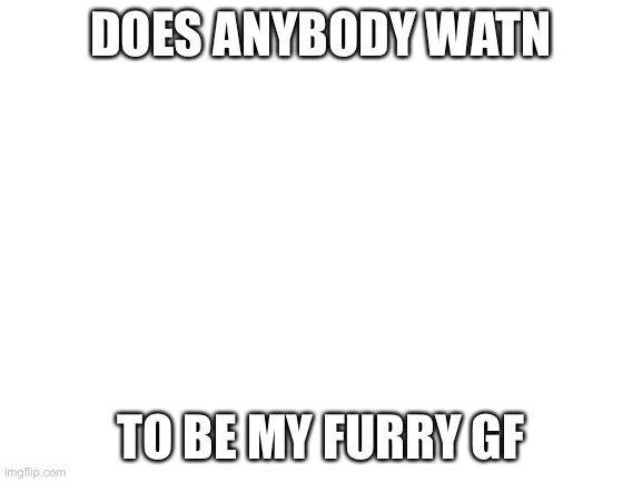 plzzzzz | DOES ANYBODY WATN; TO BE MY FURRY GF | image tagged in blank white template | made w/ Imgflip meme maker