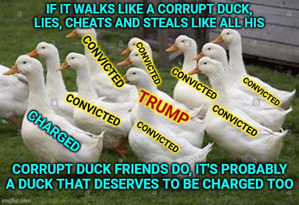 It Gets Harder And Harder To Take The "Law And Order President" Seriously When All His Peeps Keep Getting Convicted Of Felonies | IF IT WALKS LIKE A CORRUPT DUCK, LIES, CHEATS AND STEALS LIKE ALL HIS; CONVICTED; CONVICTED; CONVICTED; CONVICTED; CONVICTED; TRUMP; CONVICTED; CONVICTED; CHARGED; CORRUPT DUCK FRIENDS DO, IT'S PROBABLY A DUCK THAT DESERVES TO BE CHARGED TOO | image tagged in memes,trump unfit unqualified dangerous,liar in chief,trump lies,lock him up,qanon | made w/ Imgflip meme maker