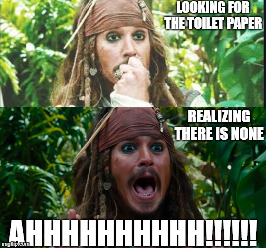 2020 be like | LOOKING FOR THE TOILET PAPER; REALIZING THERE IS NONE; AHHHHHHHHHH!!!!!! | image tagged in 2020 | made w/ Imgflip meme maker