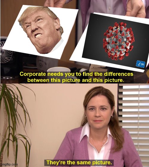 They're The Same Picture | image tagged in memes,they're the same picture | made w/ Imgflip meme maker