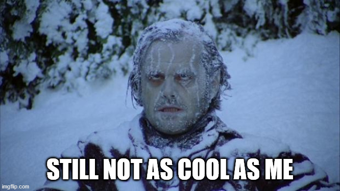 Cold | STILL NOT AS COOL AS ME | image tagged in cold | made w/ Imgflip meme maker