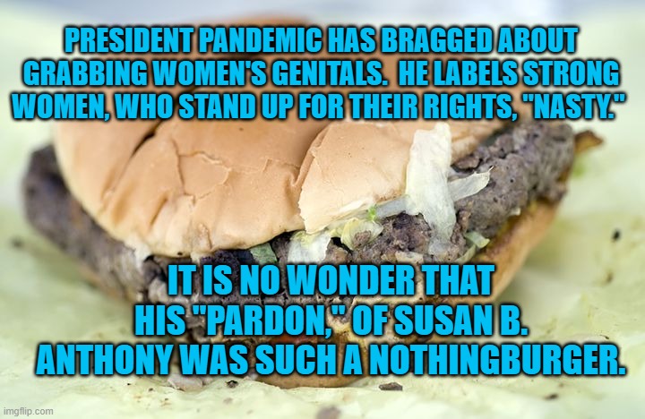 Don't Pardon Me. | PRESIDENT PANDEMIC HAS BRAGGED ABOUT GRABBING WOMEN'S GENITALS.  HE LABELS STRONG WOMEN, WHO STAND UP FOR THEIR RIGHTS, "NASTY."; IT IS NO WONDER THAT HIS "PARDON," OF SUSAN B. ANTHONY WAS SUCH A NOTHINGBURGER. | image tagged in politics | made w/ Imgflip meme maker