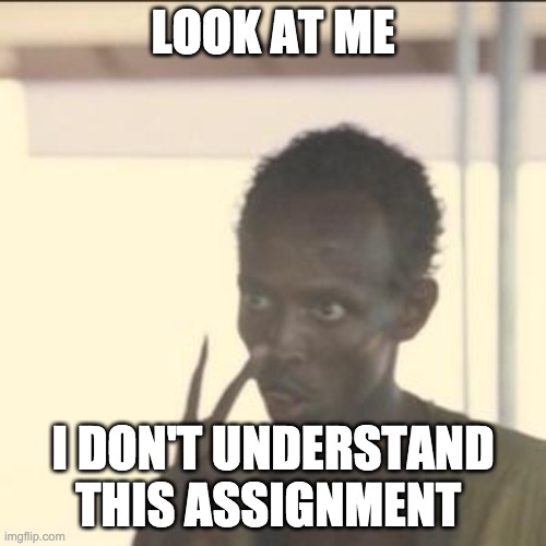 FOR THE SCHOOL | LOOK AT ME; I DON'T UNDERSTAND THIS ASSIGNMENT | image tagged in memes,look at me | made w/ Imgflip meme maker
