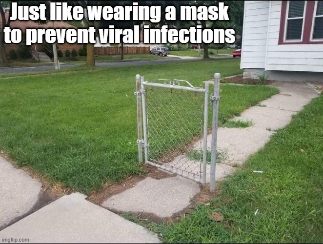 Just like wearing a mask to prevent viral infections | Just like wearing a mask to prevent viral infections | image tagged in facemask,pandemic,bill gates,coronavirus,covid-19,tyranny | made w/ Imgflip meme maker