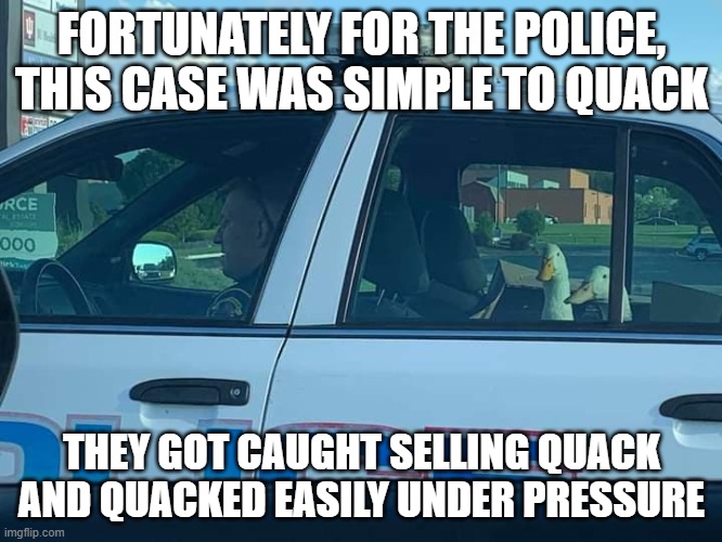 Don't want to ruffle anyone's feathers, but... | FORTUNATELY FOR THE POLICE, THIS CASE WAS SIMPLE TO QUACK; THEY GOT CAUGHT SELLING QUACK AND QUACKED EASILY UNDER PRESSURE | image tagged in ducks,police,arrested,crack,bad boys | made w/ Imgflip meme maker
