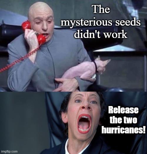Dr Evil and Frau | The mysterious seeds didn't work; Release the two hurricanes! | image tagged in dr evil and frau | made w/ Imgflip meme maker