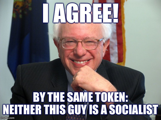 If Denmark is not a “socialist” country in the proper sense of that term, then neither is Bernie a socialist candidate. | I AGREE! BY THE SAME TOKEN: NEITHER THIS GUY IS A SOCIALIST | image tagged in vote bernie sanders,socialism,socialist,denmark,democrats,bernie sanders | made w/ Imgflip meme maker