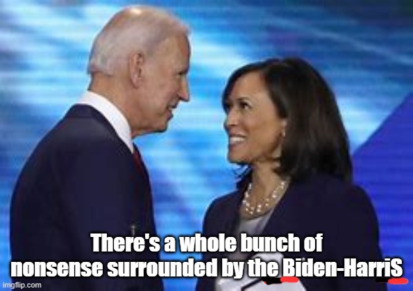 Biden Harris BS | There's a whole bunch of nonsense surrounded by the Biden-HarriS | image tagged in sad joe biden,joe biden,biden | made w/ Imgflip meme maker