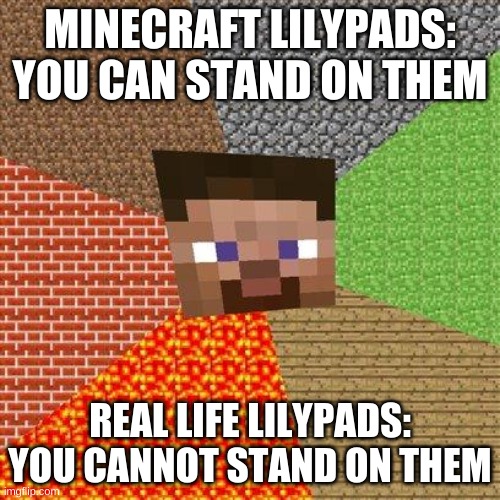 Minecraft Logic #4 | MINECRAFT LILYPADS: YOU CAN STAND ON THEM; REAL LIFE LILYPADS: YOU CANNOT STAND ON THEM | image tagged in minecraft steve,memes | made w/ Imgflip meme maker