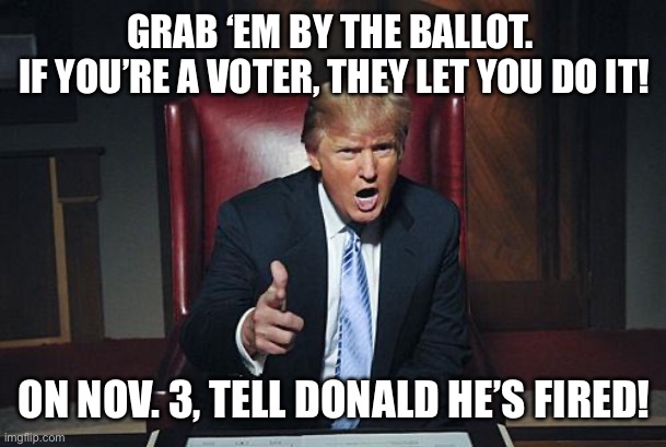 Donald Trump You're Fired | GRAB ‘EM BY THE BALLOT. 
IF YOU’RE A VOTER, THEY LET YOU DO IT! ON NOV. 3, TELL DONALD HE’S FIRED! | image tagged in donald trump you're fired | made w/ Imgflip meme maker