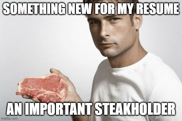 Resume | SOMETHING NEW FOR MY RESUME; AN IMPORTANT STEAKHOLDER | image tagged in steak,rare steak meme | made w/ Imgflip meme maker