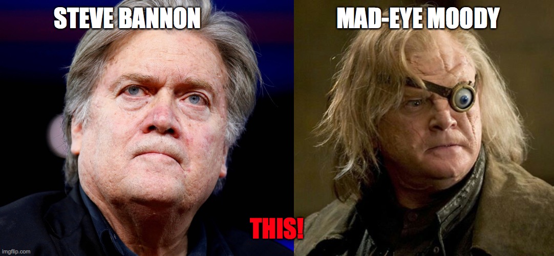 Mad-eye Bannon | STEVE BANNON                              MAD-EYE MOODY; THIS! | image tagged in memes,steve bannon,moody,politics,trump | made w/ Imgflip meme maker