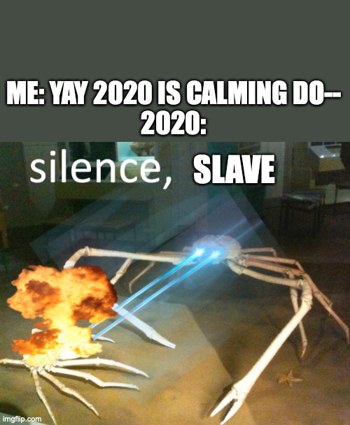 Silence Crab | ME: YAY 2020 IS CALMING DO--
2020: SLAVE | image tagged in silence crab | made w/ Imgflip meme maker