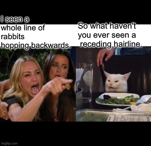 Woman yelling at cat | I seen a whole line of rabbits  hopping backwards. So what haven't you ever seen a  receding hairline. | image tagged in memes,woman yelling at cat | made w/ Imgflip meme maker