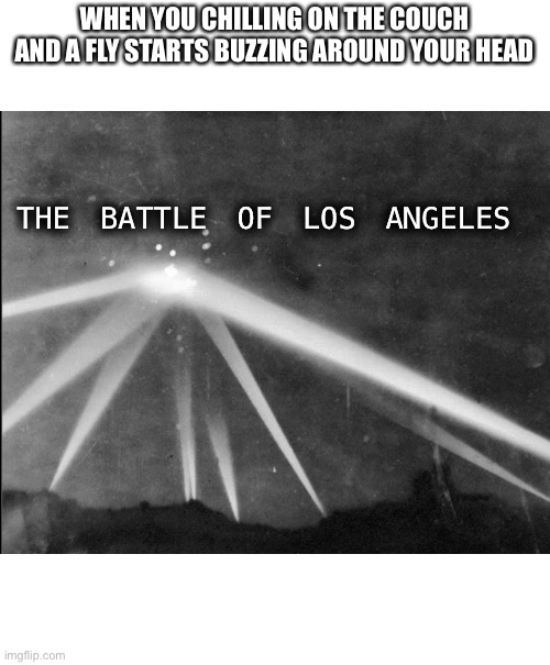 Stupid flies |  WHEN YOU CHILLING ON THE COUCH AND A FLY STARTS BUZZING AROUND YOUR HEAD; THE BATTLE OF LOS ANGELES | image tagged in idk | made w/ Imgflip meme maker