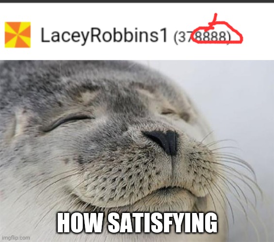 HOW SATISFYING | image tagged in memes,satisfied seal | made w/ Imgflip meme maker