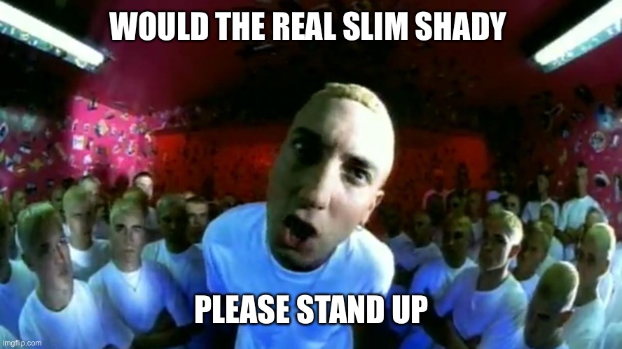 Real slim shady | WOULD THE REAL SLIM SHADY PLEASE STAND UP | image tagged in real slim shady | made w/ Imgflip meme maker