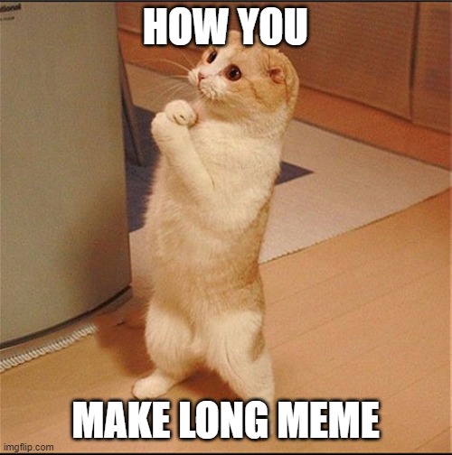Can I Has Food | HOW YOU MAKE LONG MEME | image tagged in can i has food | made w/ Imgflip meme maker