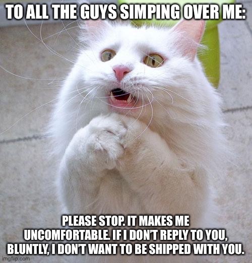 Begging Cat | TO ALL THE GUYS SIMPING OVER ME:; PLEASE STOP. IT MAKES ME UNCOMFORTABLE. IF I DON’T REPLY TO YOU, BLUNTLY, I DON’T WANT TO BE SHIPPED WITH YOU. | image tagged in begging cat | made w/ Imgflip meme maker