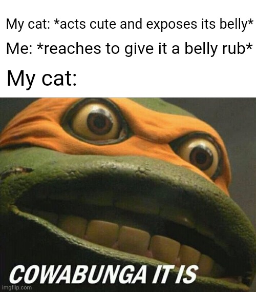 Cowabunga it is | My cat: *acts cute and exposes its belly*; Me: *reaches to give it a belly rub*; My cat: | image tagged in cowabunga it is | made w/ Imgflip meme maker
