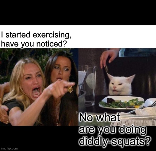 Woman yelling at cat | I started exercising, have you noticed? No what are you doing diddly-squats? | image tagged in memes,woman yelling at cat | made w/ Imgflip meme maker