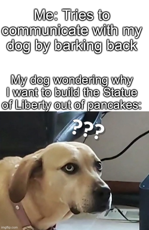 Me: Tries to communicate with my dog by barking back; My dog wondering why I want to build the Statue of Liberty out of pancakes: | image tagged in blank white template | made w/ Imgflip meme maker