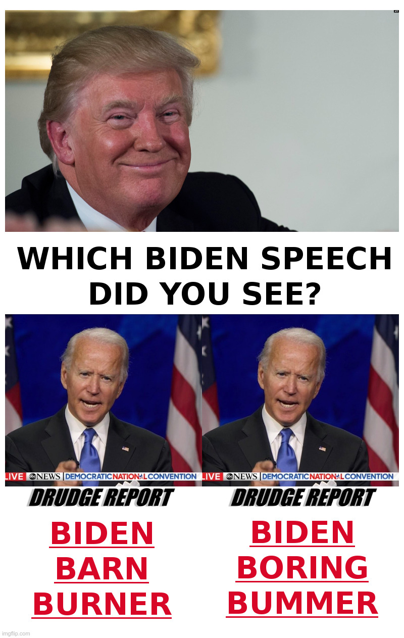 Which Biden Speech Did You See? | image tagged in joe biden,democratic convention,speech,barn burner,boring,bummer | made w/ Imgflip meme maker