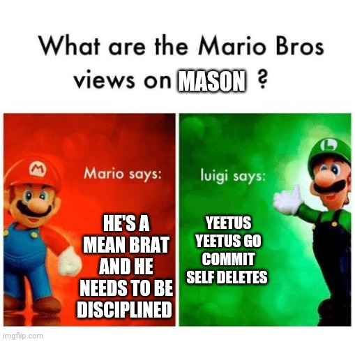 Mario says Luigi says | MASON; HE'S A MEAN BRAT AND HE NEEDS TO BE DISCIPLINED; YEETUS YEETUS GO COMMIT SELF DELETES | image tagged in mario says luigi says,memes | made w/ Imgflip meme maker