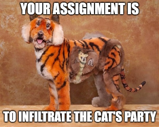 Being a secret agent is not easy. | YOUR ASSIGNMENT IS; TO INFILTRATE THE CAT'S PARTY | image tagged in dogs,cats,memes,funny,fin,2020 | made w/ Imgflip meme maker