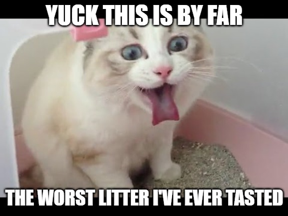Uncool | YUCK THIS IS BY FAR; THE WORST LITTER I'VE EVER TASTED | image tagged in cats,memes,fun,funny,funny memes,2020 | made w/ Imgflip meme maker
