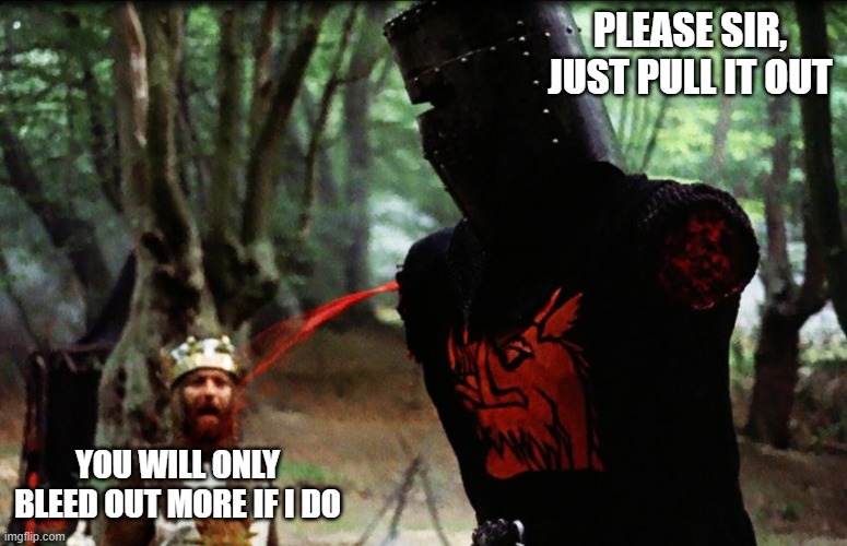 Monty Python Black Knight | PLEASE SIR, JUST PULL IT OUT YOU WILL ONLY BLEED OUT MORE IF I DO | image tagged in monty python black knight | made w/ Imgflip meme maker