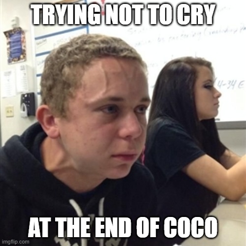 Vein forehead guy | TRYING NOT TO CRY; AT THE END OF COCO | image tagged in vein forehead guy | made w/ Imgflip meme maker