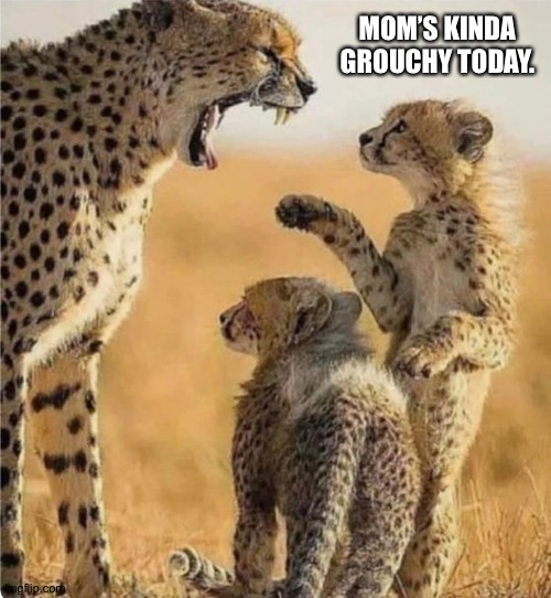 MOM’S KINDA GROUCHY TODAY. | made w/ Imgflip meme maker