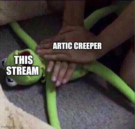Revival Kermit  | ARTIC CREEPER THIS STREAM | image tagged in revival kermit | made w/ Imgflip meme maker
