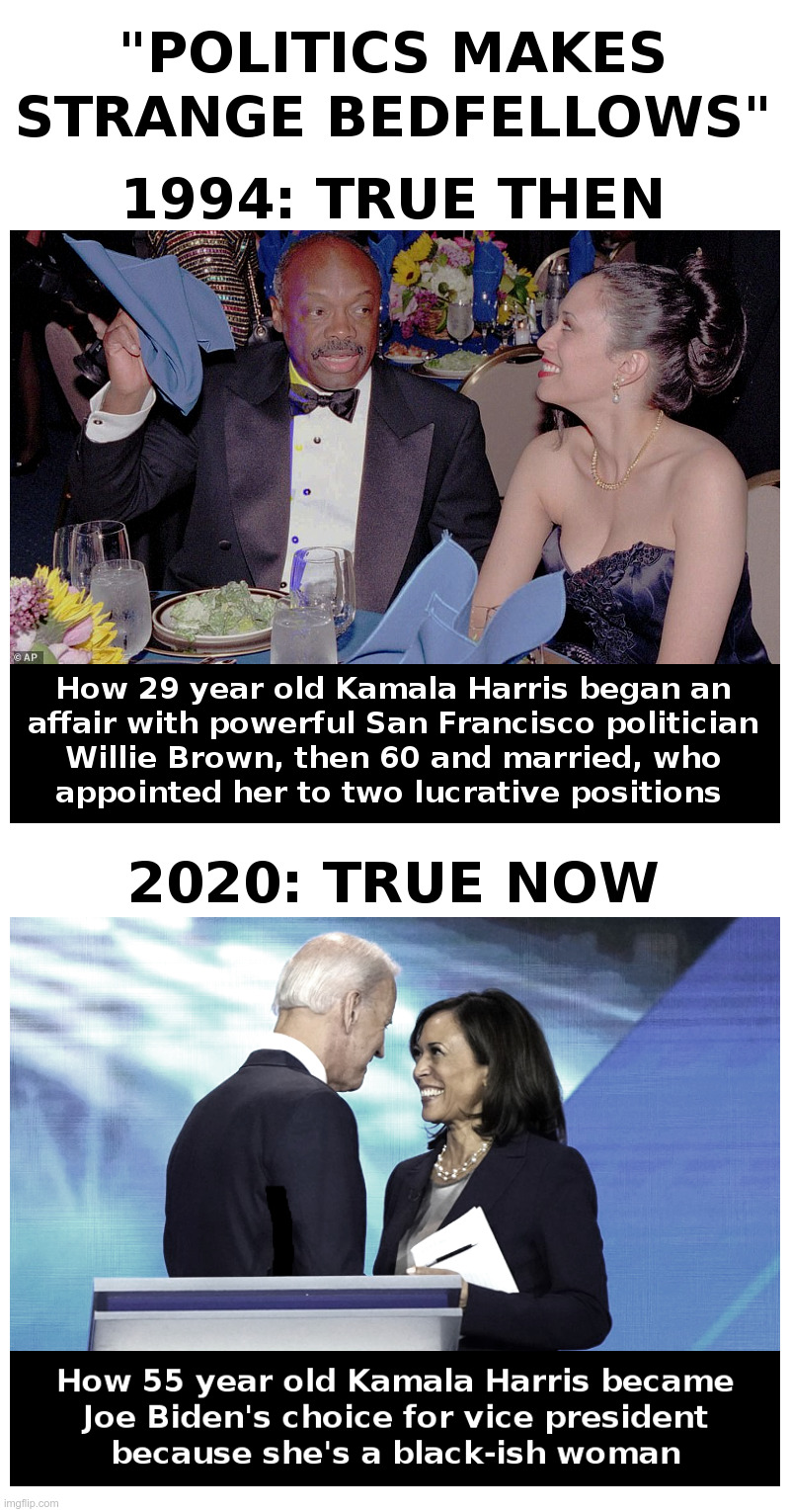 Politics Makes Strange Bedfellows | image tagged in politics makes strange bedfellows,kamala harris,willie brown,joe biden | made w/ Imgflip meme maker