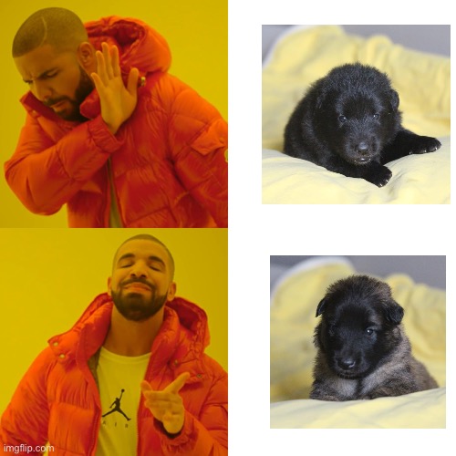 Drake Hotline Bling Meme | image tagged in memes,drake hotline bling | made w/ Imgflip meme maker