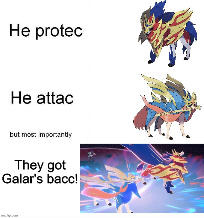he protecc | They got Galar's bacc! | image tagged in he protecc | made w/ Imgflip meme maker