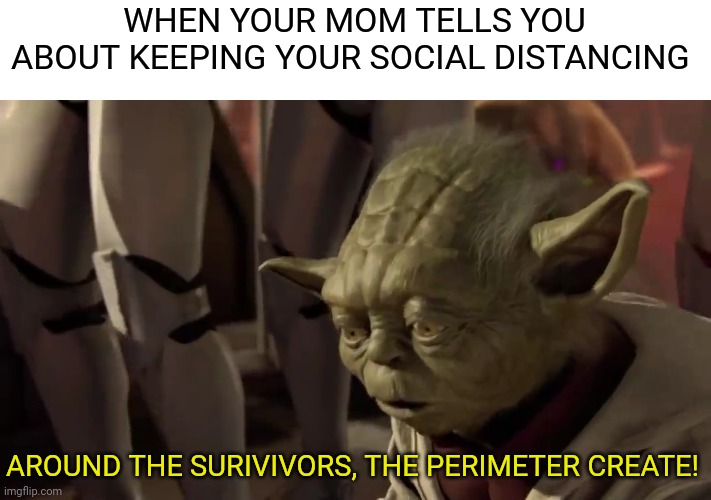 WHEN YOUR MOM TELLS YOU ABOUT KEEPING YOUR SOCIAL DISTANCING; AROUND THE SURIVIVORS, THE PERIMETER CREATE! | image tagged in memes,funny,star wars prequels,yoda,mom,covid-19 | made w/ Imgflip meme maker