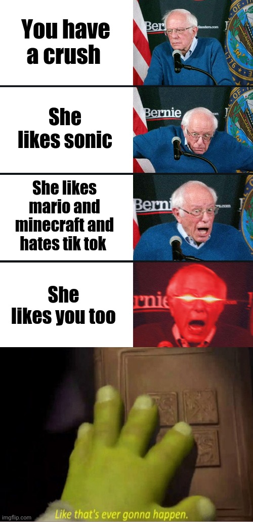 If only | You have a crush; She likes sonic; She likes mario and minecraft and hates tik tok; She likes you too | image tagged in bernie sanders reaction nuked,memes,like that's ever gonna happen,funny | made w/ Imgflip meme maker