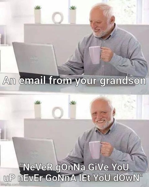 nEvEr GoNnA gIvE yOu Up | An email from your grandson; "NeVeR gOnNa GiVe YoU uP nEvEr GoNnA lEt YoU dOwN" | image tagged in memes,hide the pain harold | made w/ Imgflip meme maker