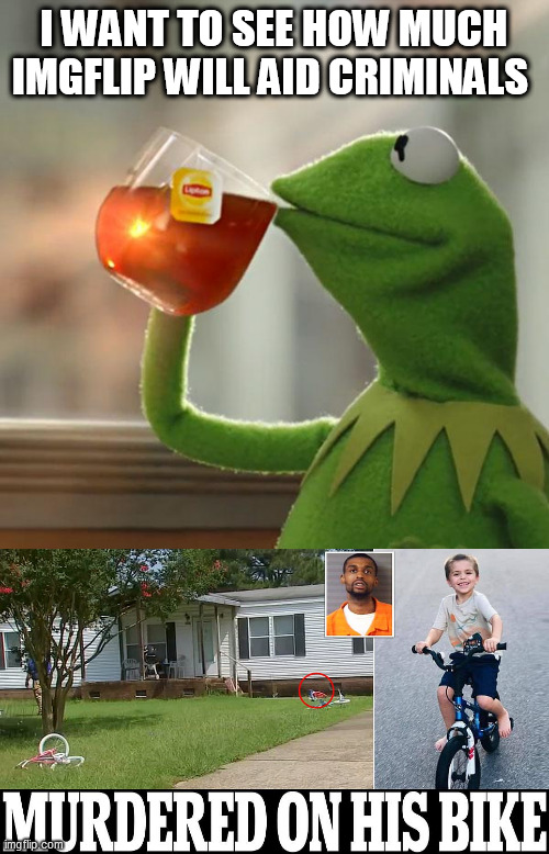 I WANT TO SEE HOW MUCH IMGFLIP WILL AID CRIMINALS | image tagged in memes,but that's none of my business | made w/ Imgflip meme maker