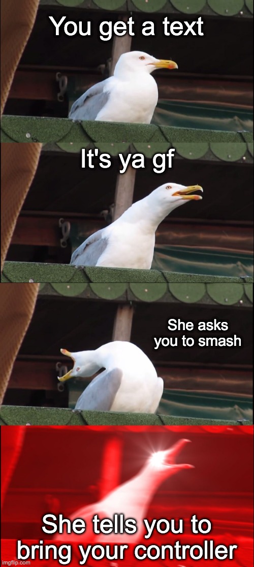 Inhaling Seagull Meme | You get a text; It's ya gf; She asks you to smash; She tells you to bring your controller | image tagged in memes,inhaling seagull | made w/ Imgflip meme maker