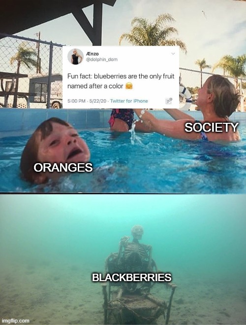 Mother Ignoring Kid Drowning In A Pool | SOCIETY; ORANGES; BLACKBERRIES | image tagged in mother ignoring kid drowning in a pool | made w/ Imgflip meme maker
