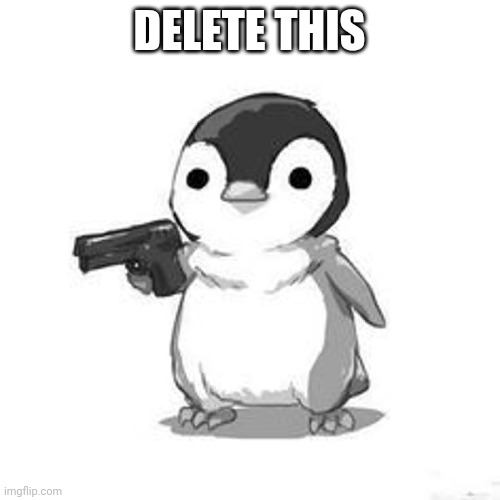 A new template | DELETE THIS | image tagged in penguin holding gun | made w/ Imgflip meme maker