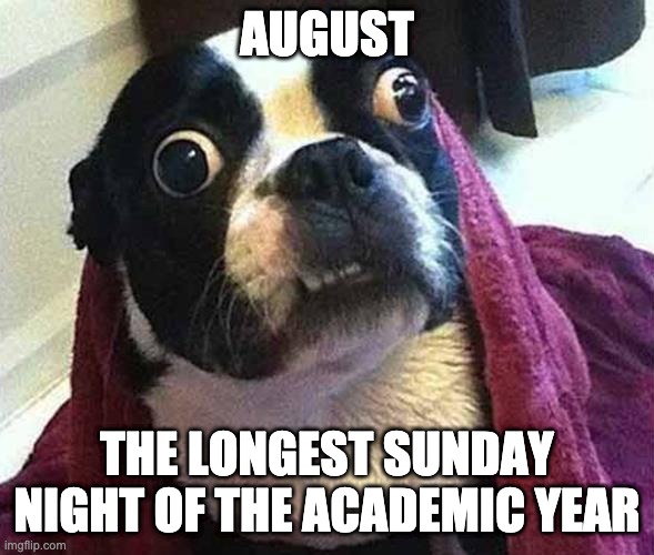 August: The Longest Sunday Night of the Academic Year | AUGUST; THE LONGEST SUNDAY NIGHT OF THE ACADEMIC YEAR | image tagged in stress,august,school,back to school,teachers | made w/ Imgflip meme maker