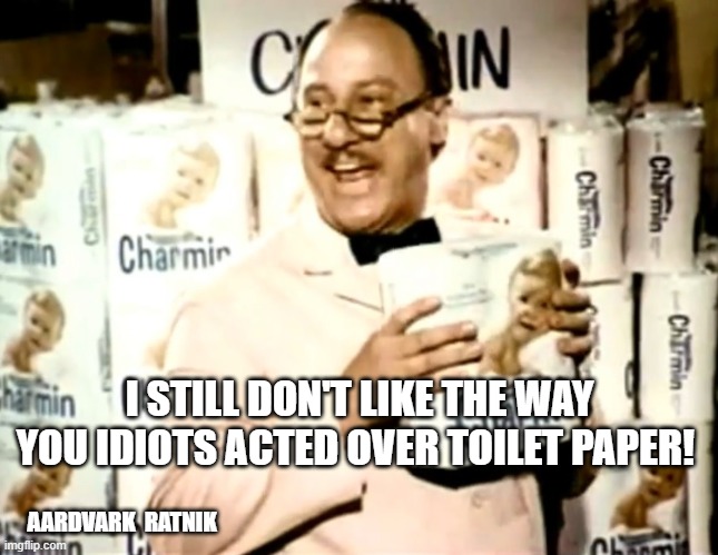 Toilet paper | I STILL DON'T LIKE THE WAY YOU IDIOTS ACTED OVER TOILET PAPER! AARDVARK  RATNIK | image tagged in funny | made w/ Imgflip meme maker